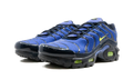 Air Max Plus (GS) CD0609 401