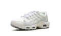 Air Max Terrascape Plus "White Pure Platinum" DQ3977 100