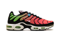Air Max Plus WW "Worldwide Pack Crimson Green" CK7291 001