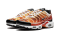 Air Max Plus "Light Photography - Sport Red" DZ3531 600