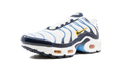 Air Max Plus CD0609 100
