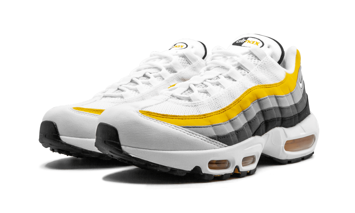 Air Max 95 CD7495 100