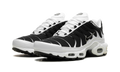 Air Max Plus "Black / White" CT1094 102