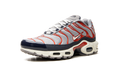 Air Max Plus "USA Grey" DB0682 003