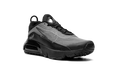 Air Max 2090(GS) "Black Wolf Grey" CJ4066 001