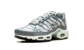 Air Max Plus "Waterway" FV0394 300