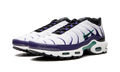 Air Max Plus "Grape" DM0032 100