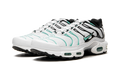 Air Max Plus "Atmos" 604133 148