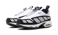 Air Max Sunder WMNS "White Black" FZ2068 100