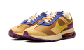AIR MAX PRE-DAY WMNS DO6716 700