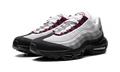Air Max OG 95 "Dark Beetroot" DQ9001 001