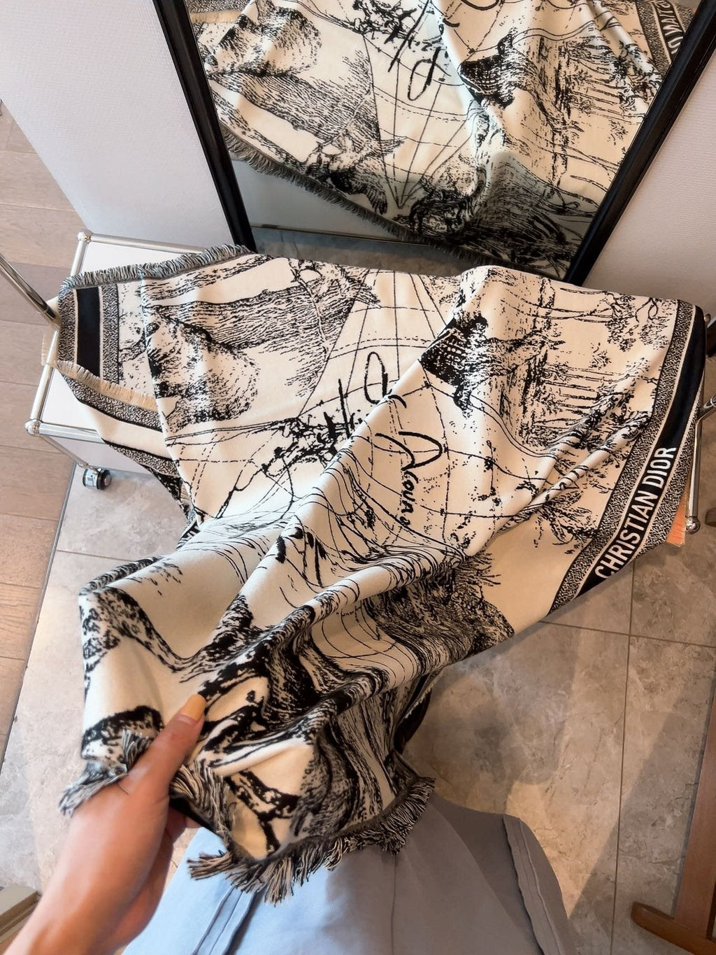Dior Toile Print Fringed Shawl