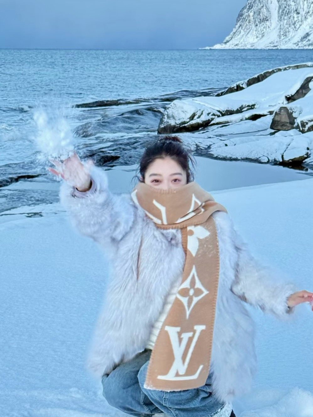Louis Vuitton Oversized Monogram Fashion Scarf