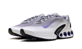 Air Max Dn "Persian Violet" HQ4565 001