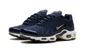 Air Max Plus "FFF" fb3350 400