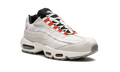 Air Max 95 SE "Double Swoosh" DQ0268 002